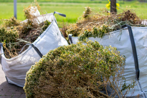 Debris Removal in East Prairie, MO