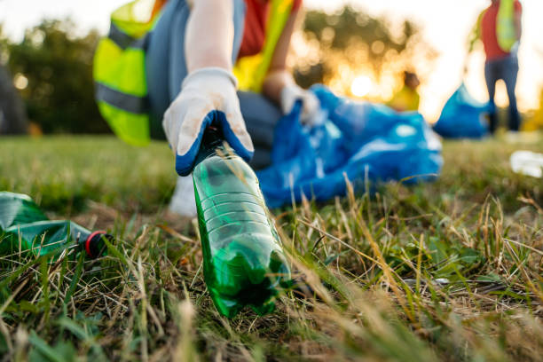 Yard Cleanup Services in East Prairie, MO